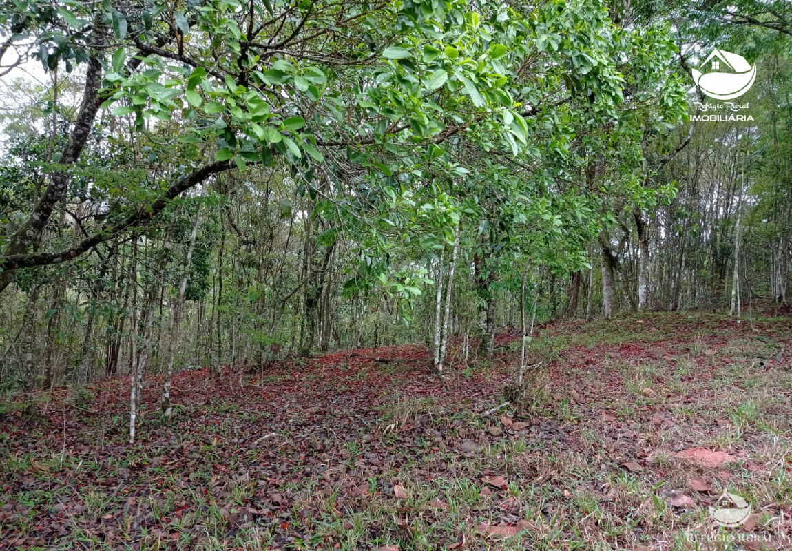 Terreno à venda, 20000m² - Foto 19