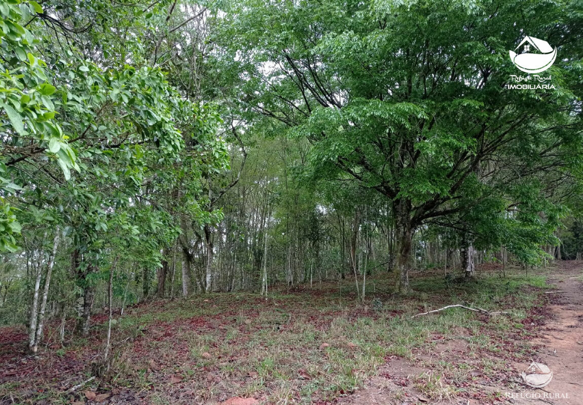 Terreno à venda, 20000m² - Foto 2