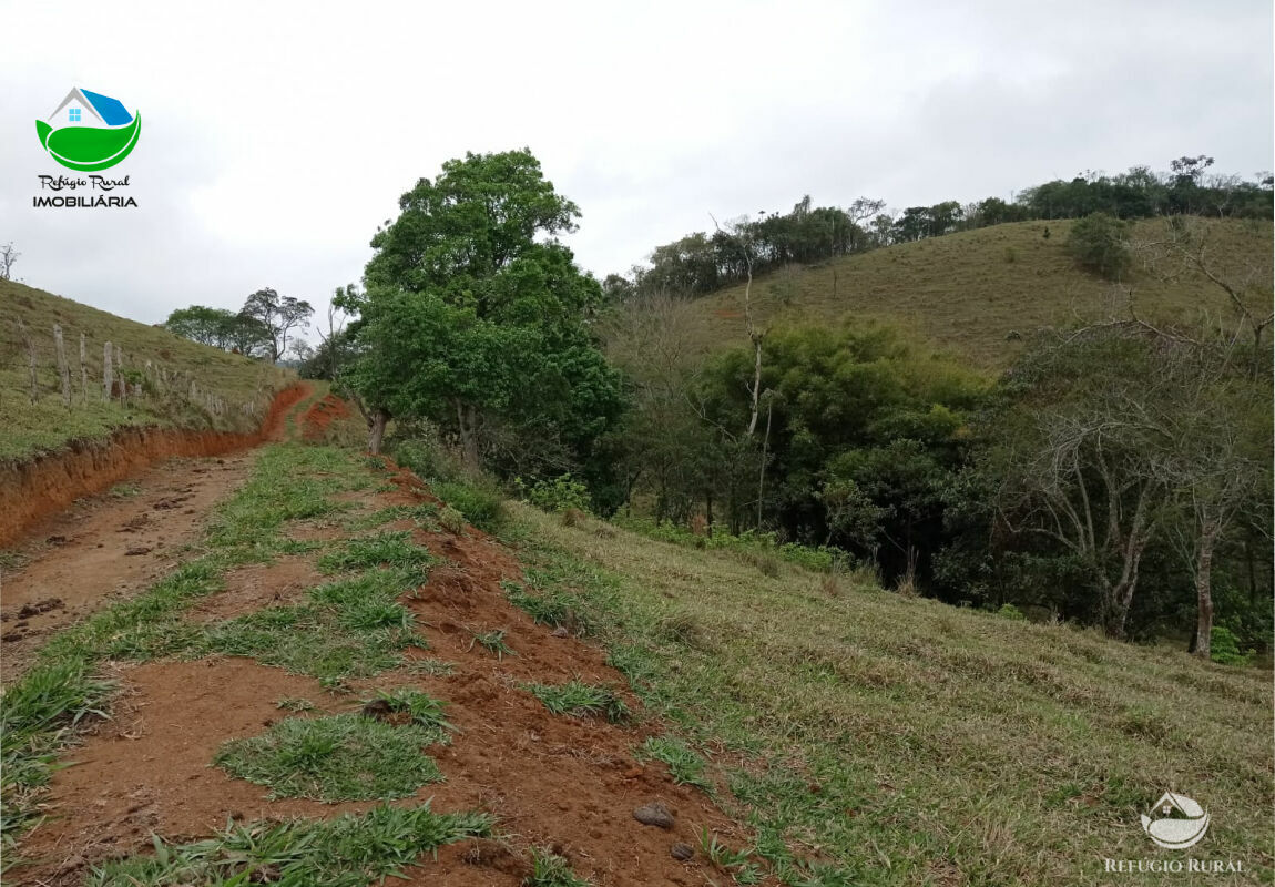 Terreno à venda, 20000m² - Foto 15