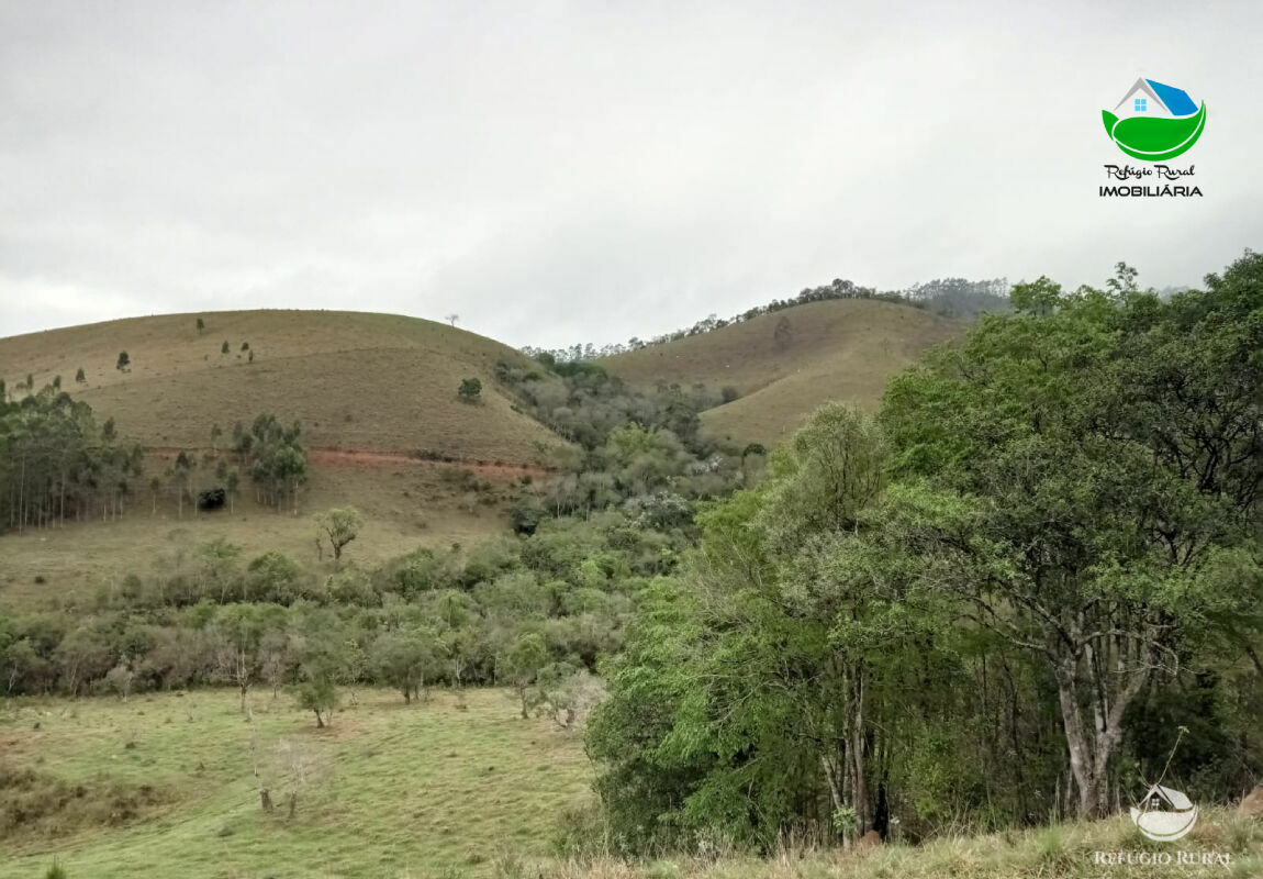 Terreno à venda, 20000m² - Foto 3