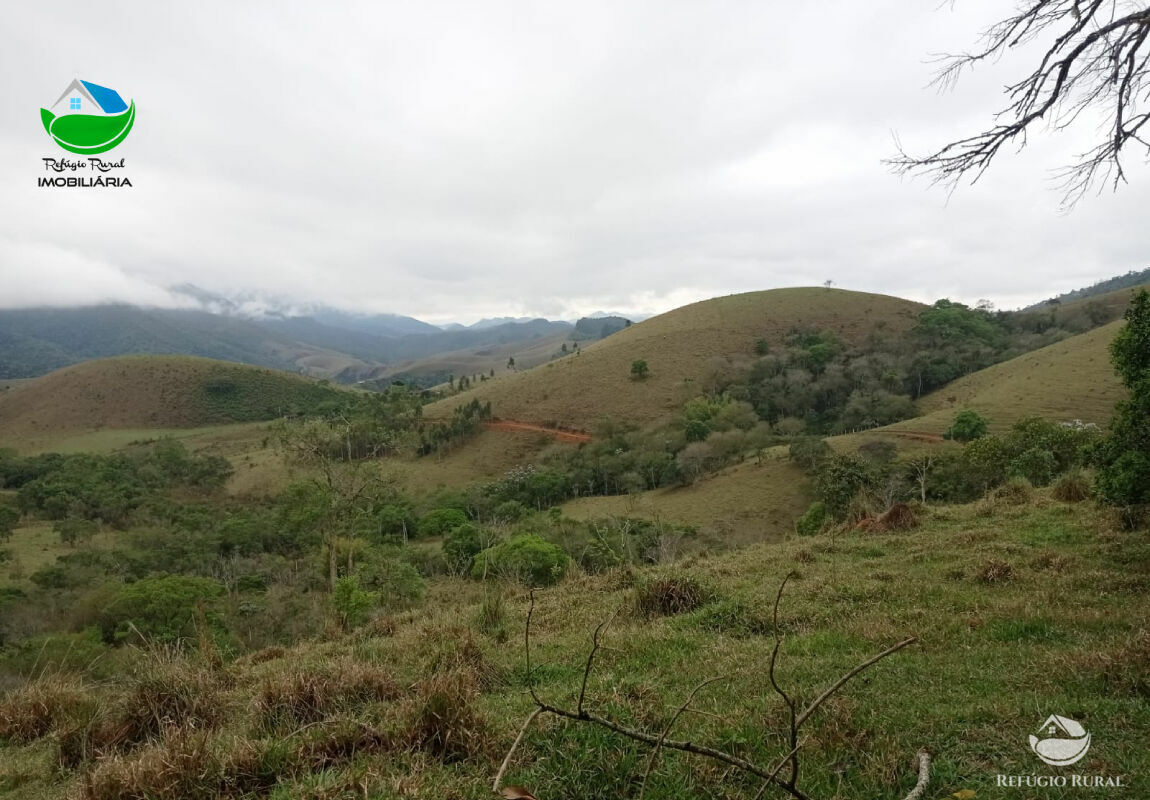 Terreno à venda, 20000m² - Foto 7