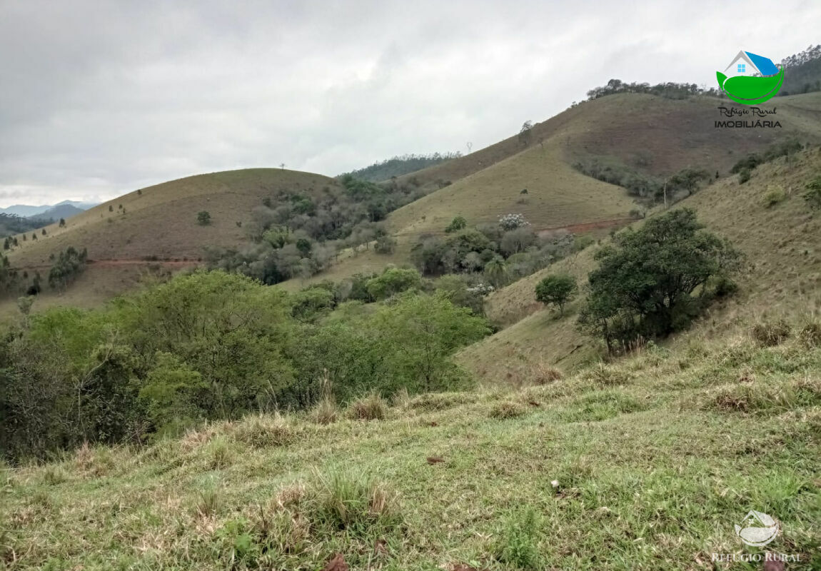 Terreno à venda, 20000m² - Foto 24