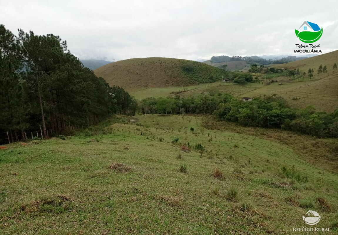 Terreno à venda, 20000m² - Foto 14