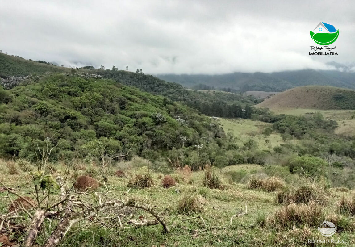 Terreno à venda, 20000m² - Foto 12