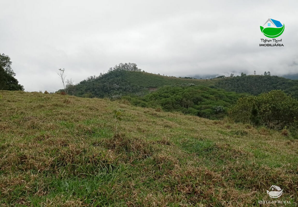 Terreno à venda, 20000m² - Foto 5