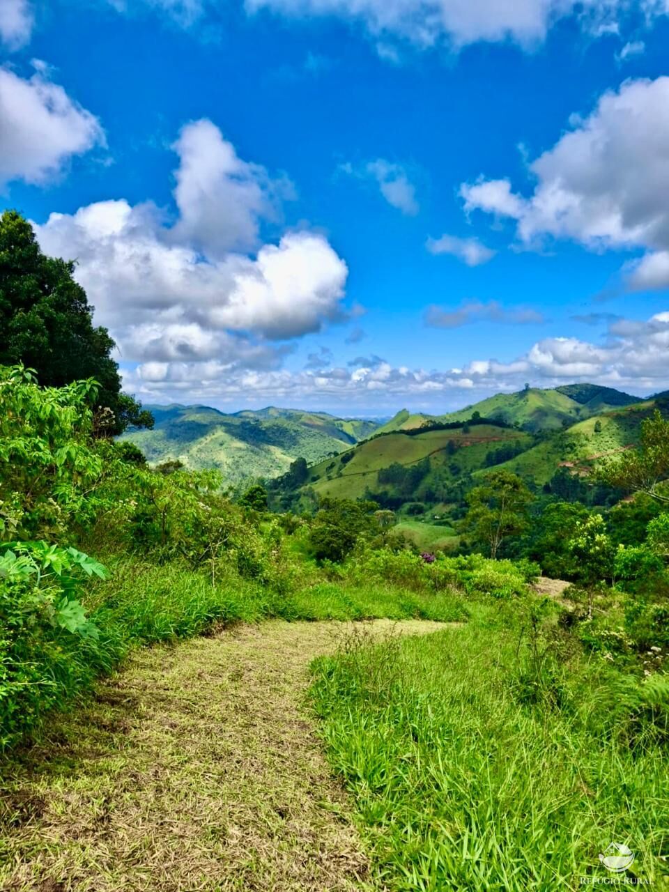 Terreno à venda, 20000m² - Foto 1