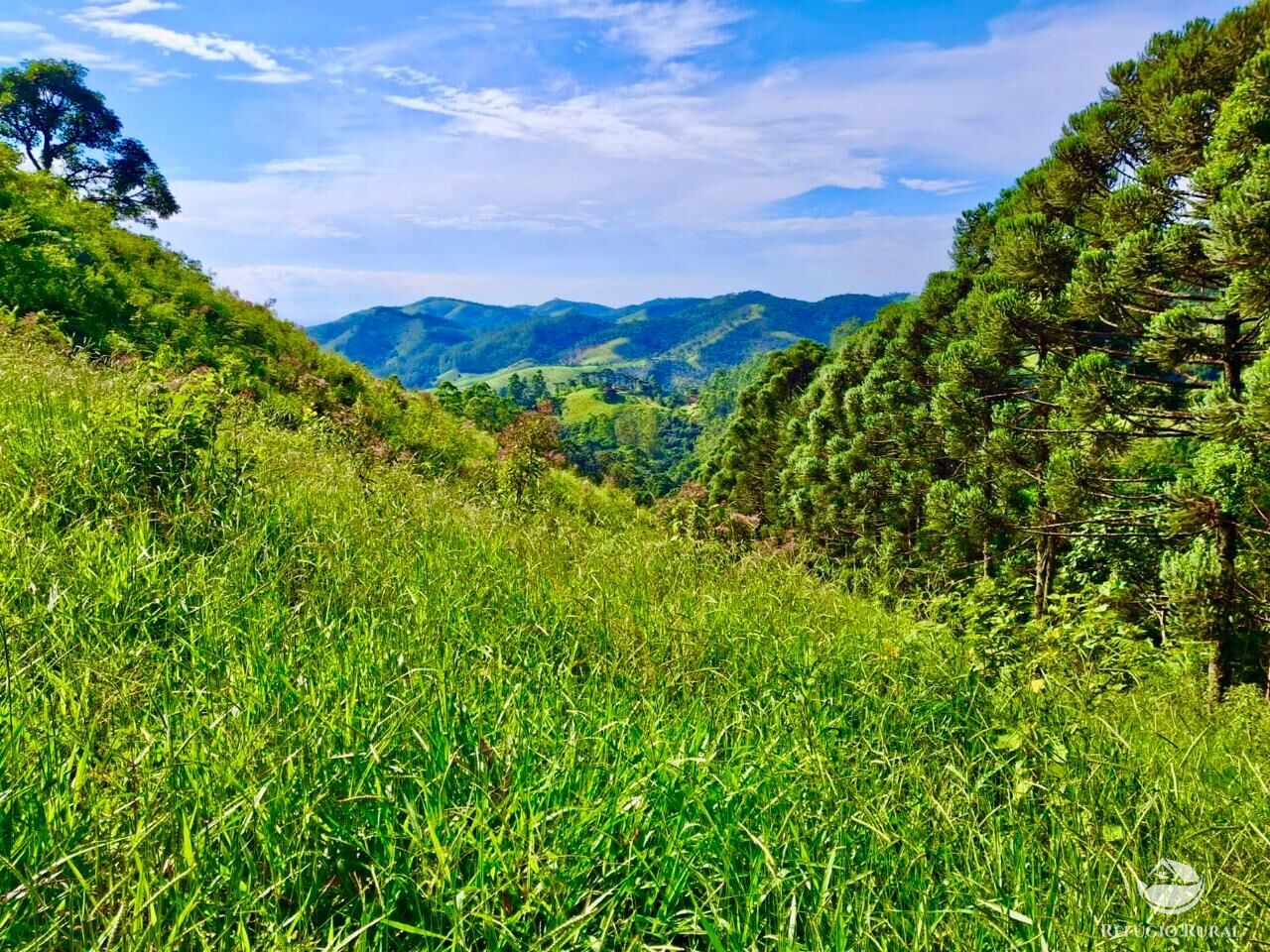 Terreno à venda, 20000m² - Foto 10