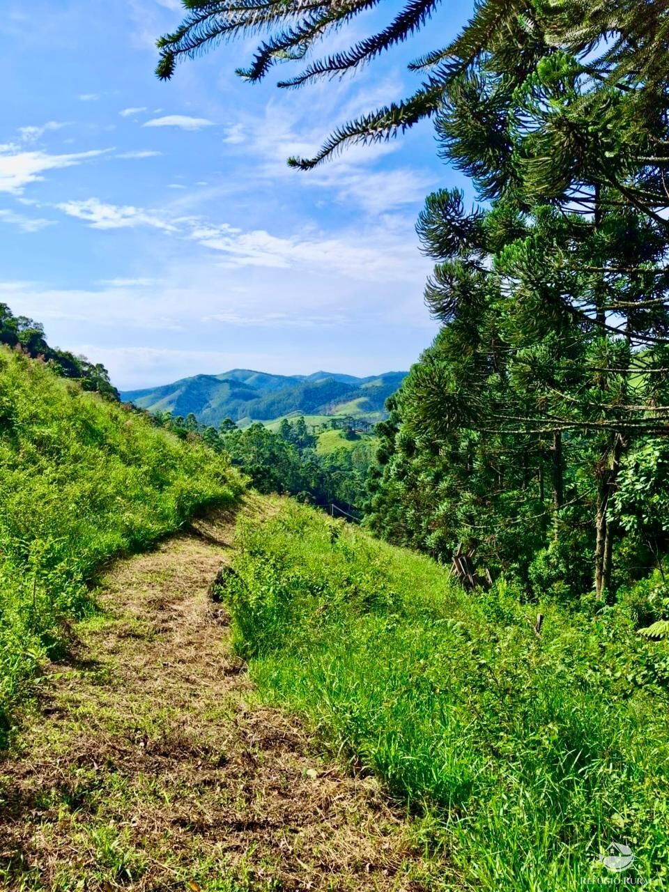 Terreno à venda, 20000m² - Foto 11