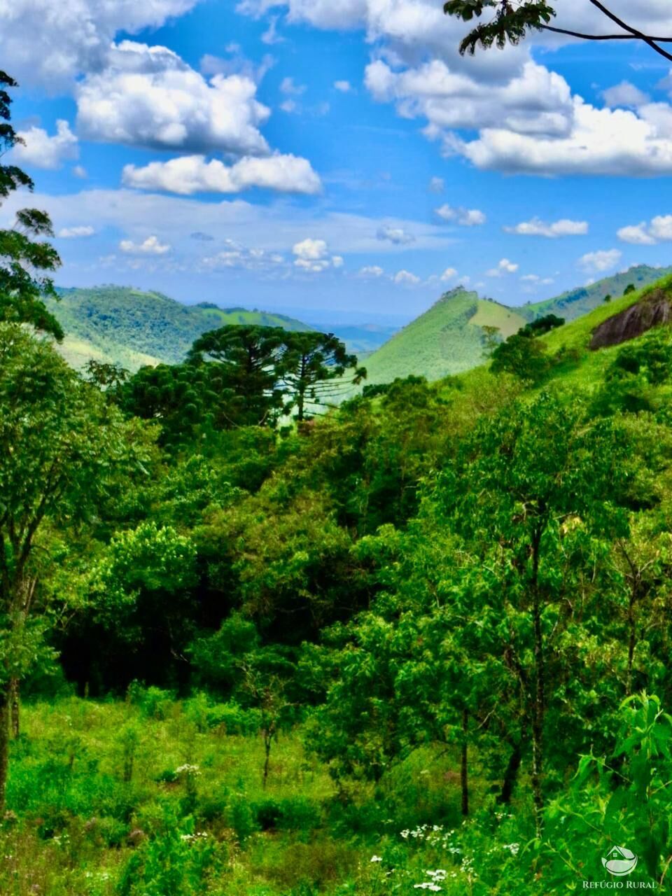 Terreno à venda, 20000m² - Foto 3