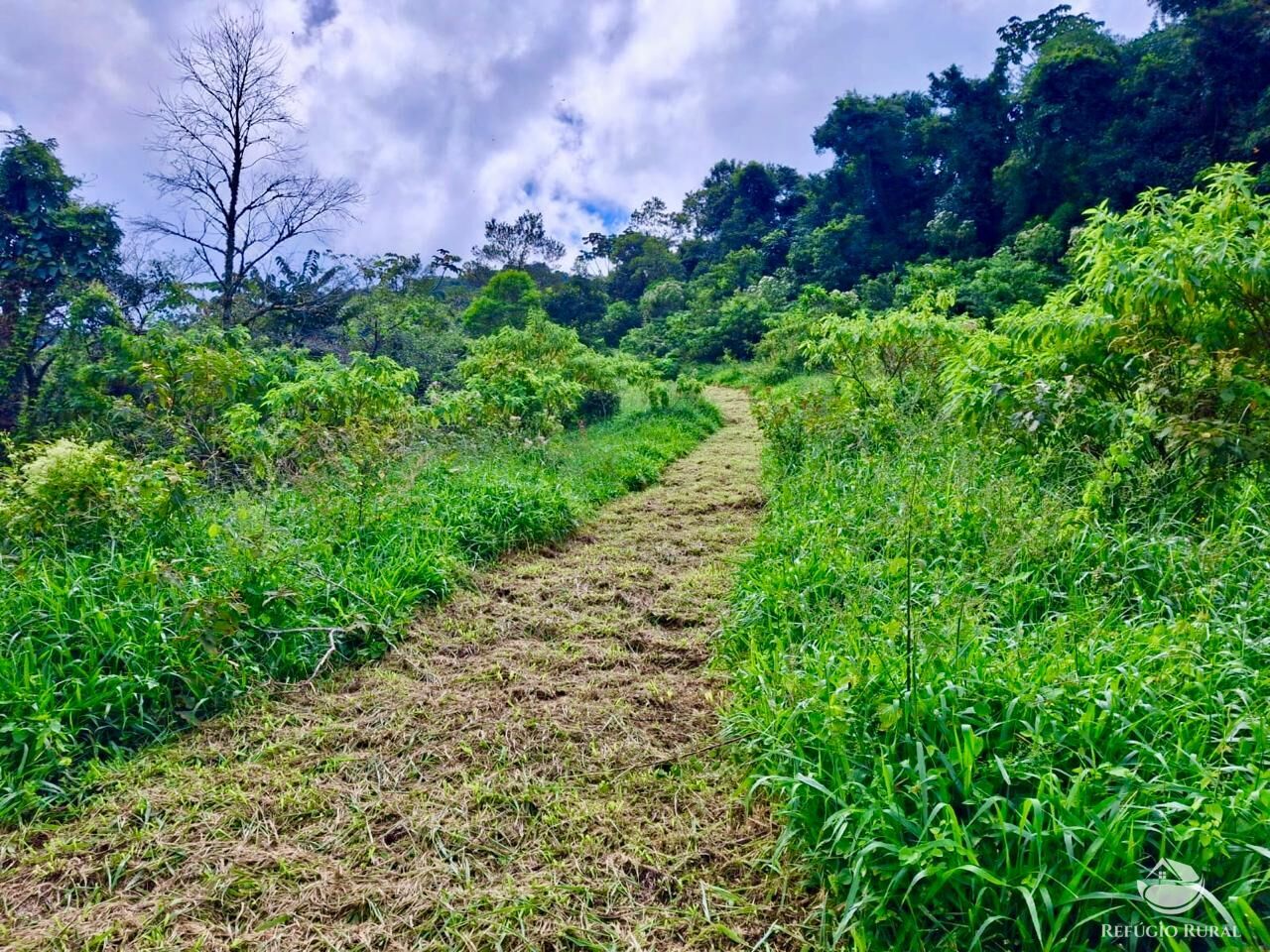 Terreno à venda, 20000m² - Foto 21