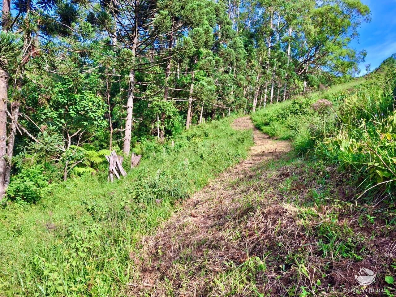 Terreno à venda, 20000m² - Foto 17