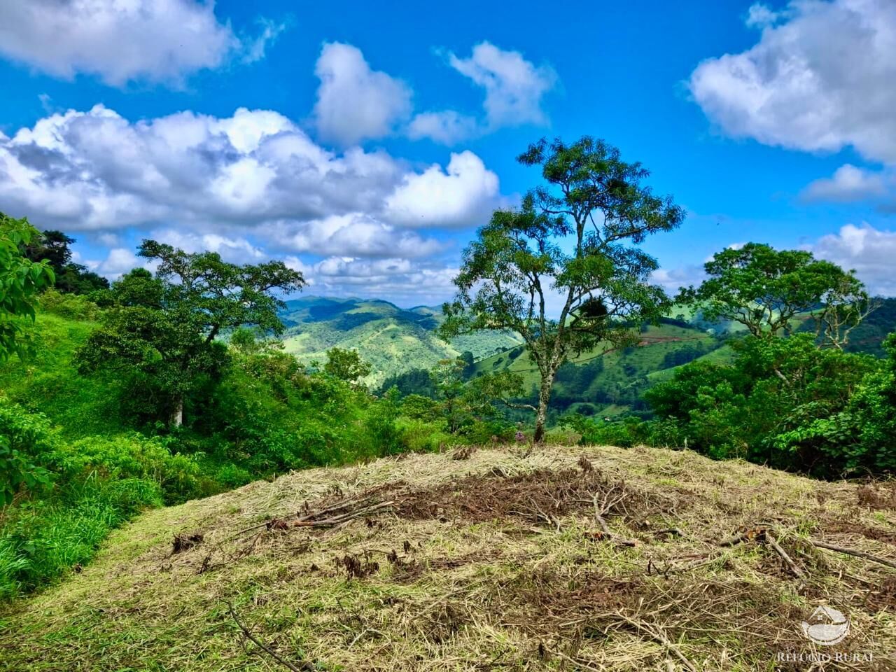 Terreno à venda, 20000m² - Foto 7