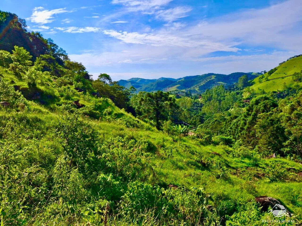 Terreno à venda, 20000m² - Foto 4