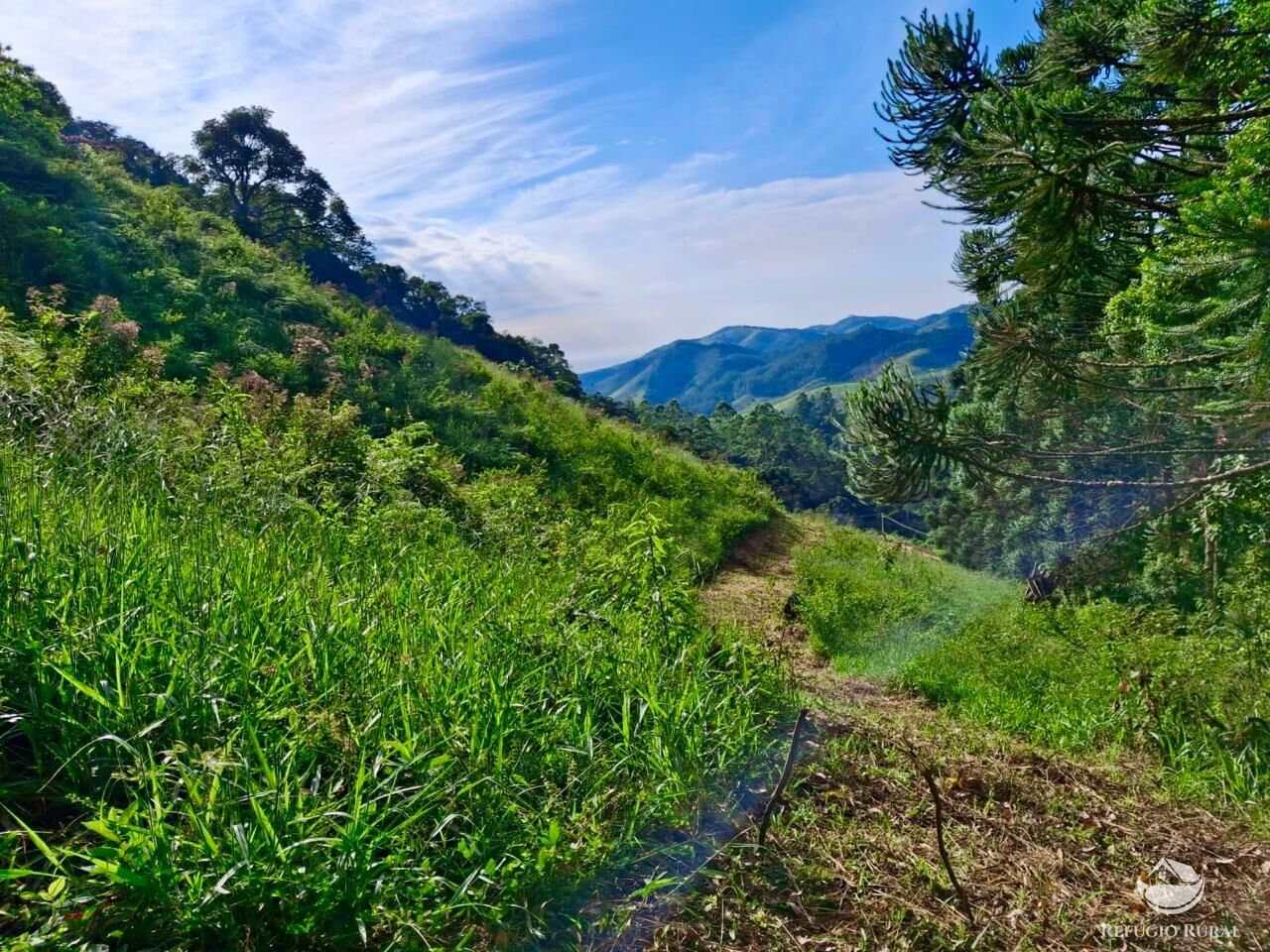 Terreno à venda, 20000m² - Foto 2