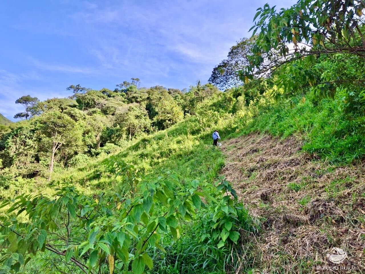 Terreno à venda, 20000m² - Foto 14