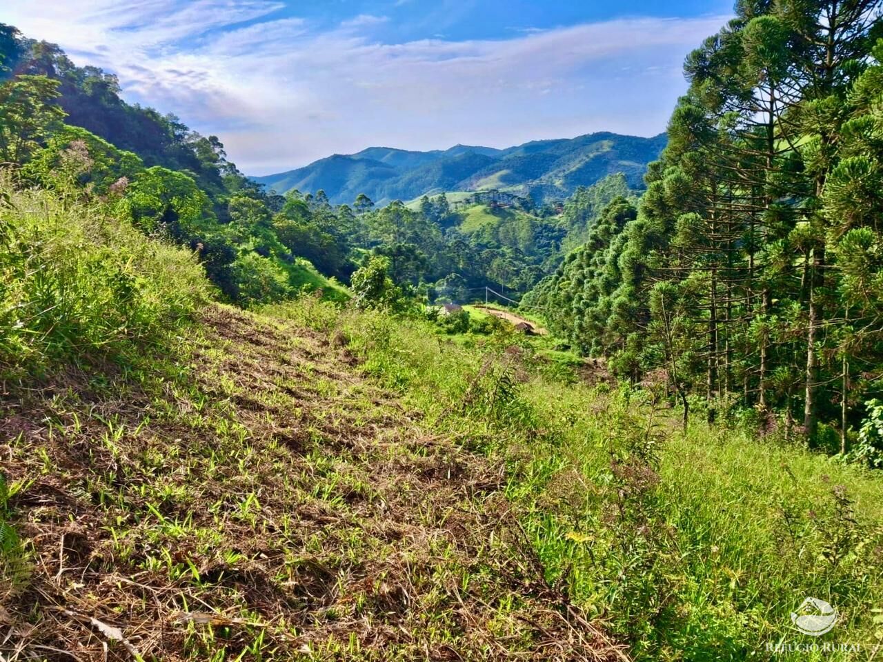Terreno à venda, 20000m² - Foto 19