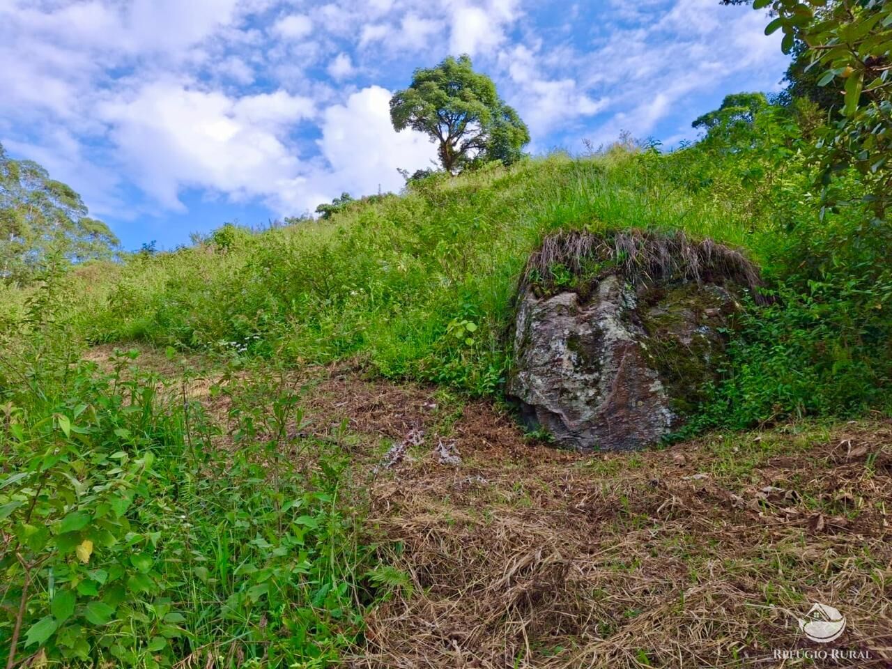 Terreno à venda, 20000m² - Foto 22
