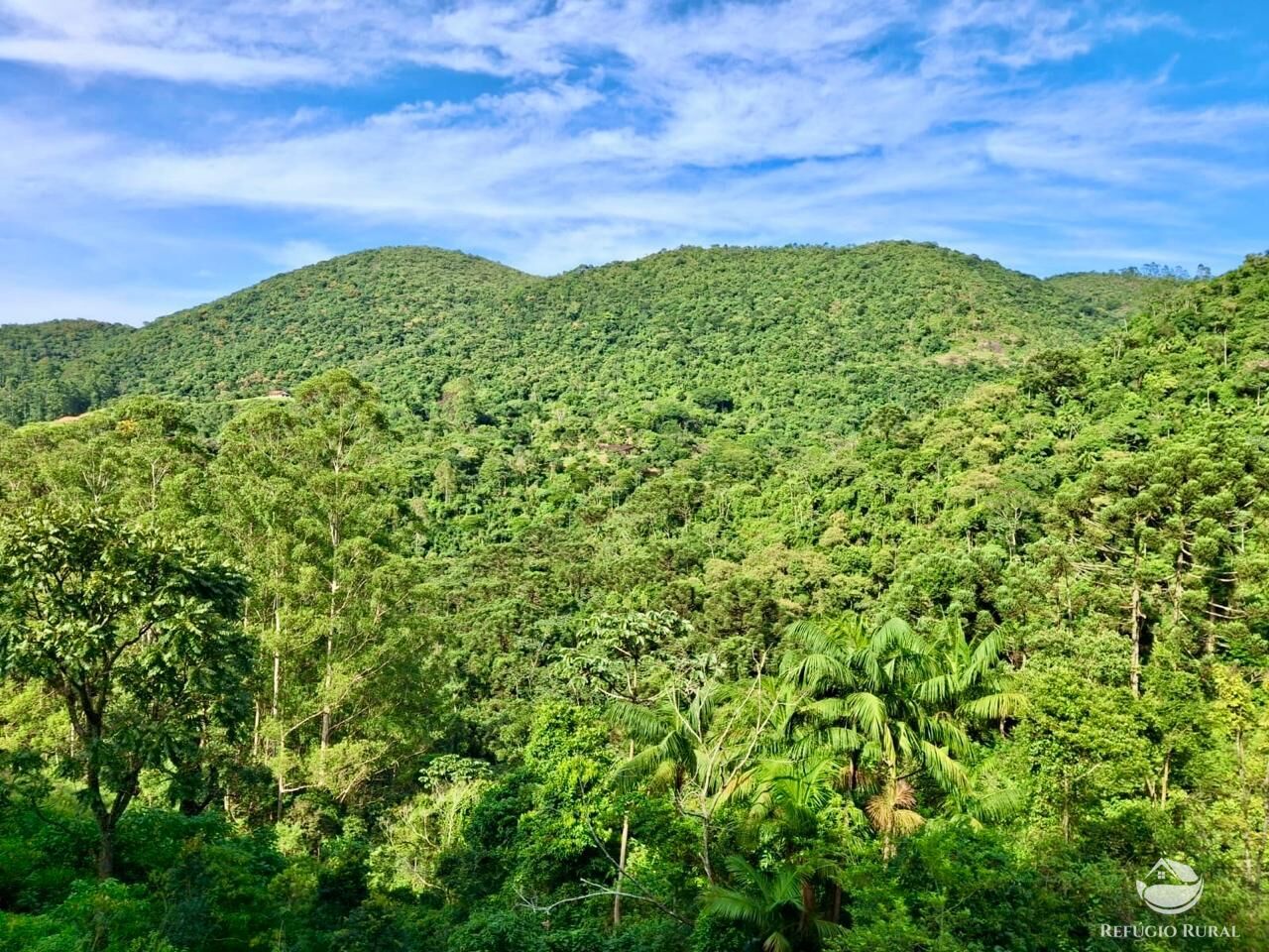 Terreno à venda, 20000m² - Foto 12