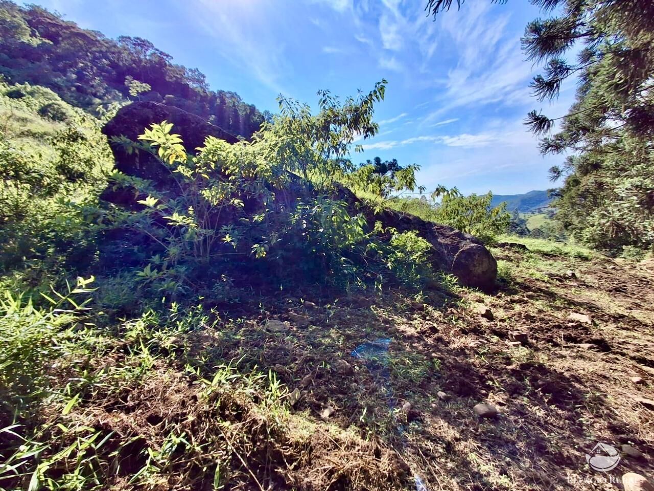Terreno à venda, 20000m² - Foto 9