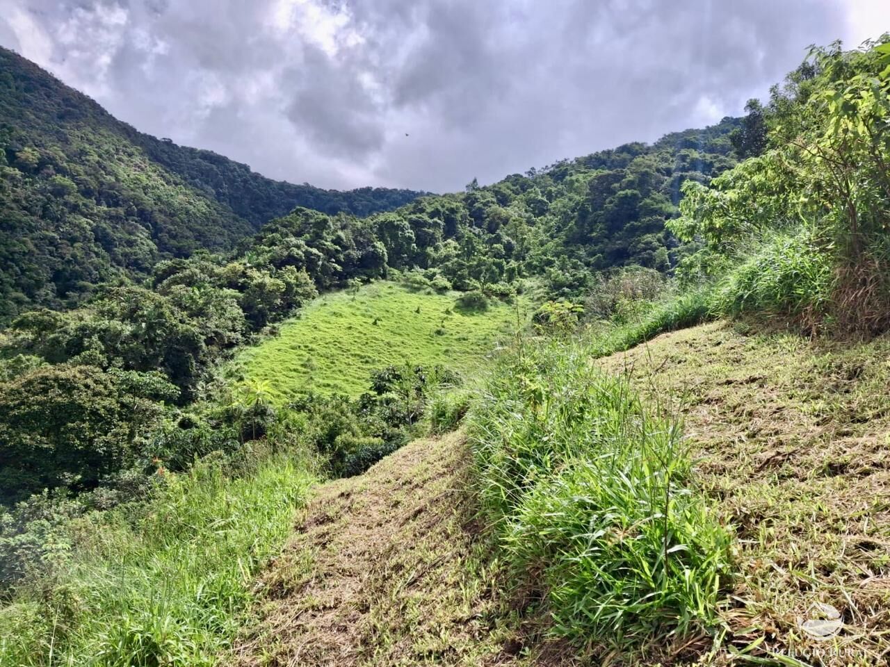 Terreno à venda, 20000m² - Foto 6