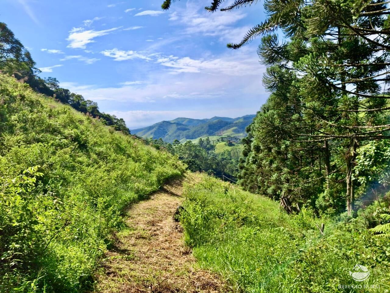 Terreno à venda, 20000m² - Foto 13