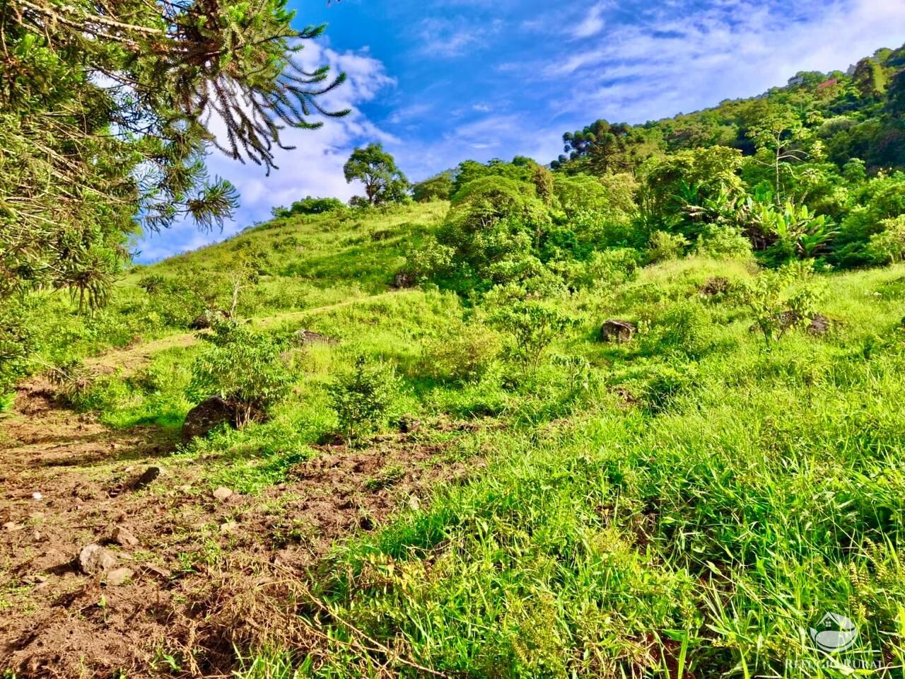 Terreno à venda, 20000m² - Foto 20