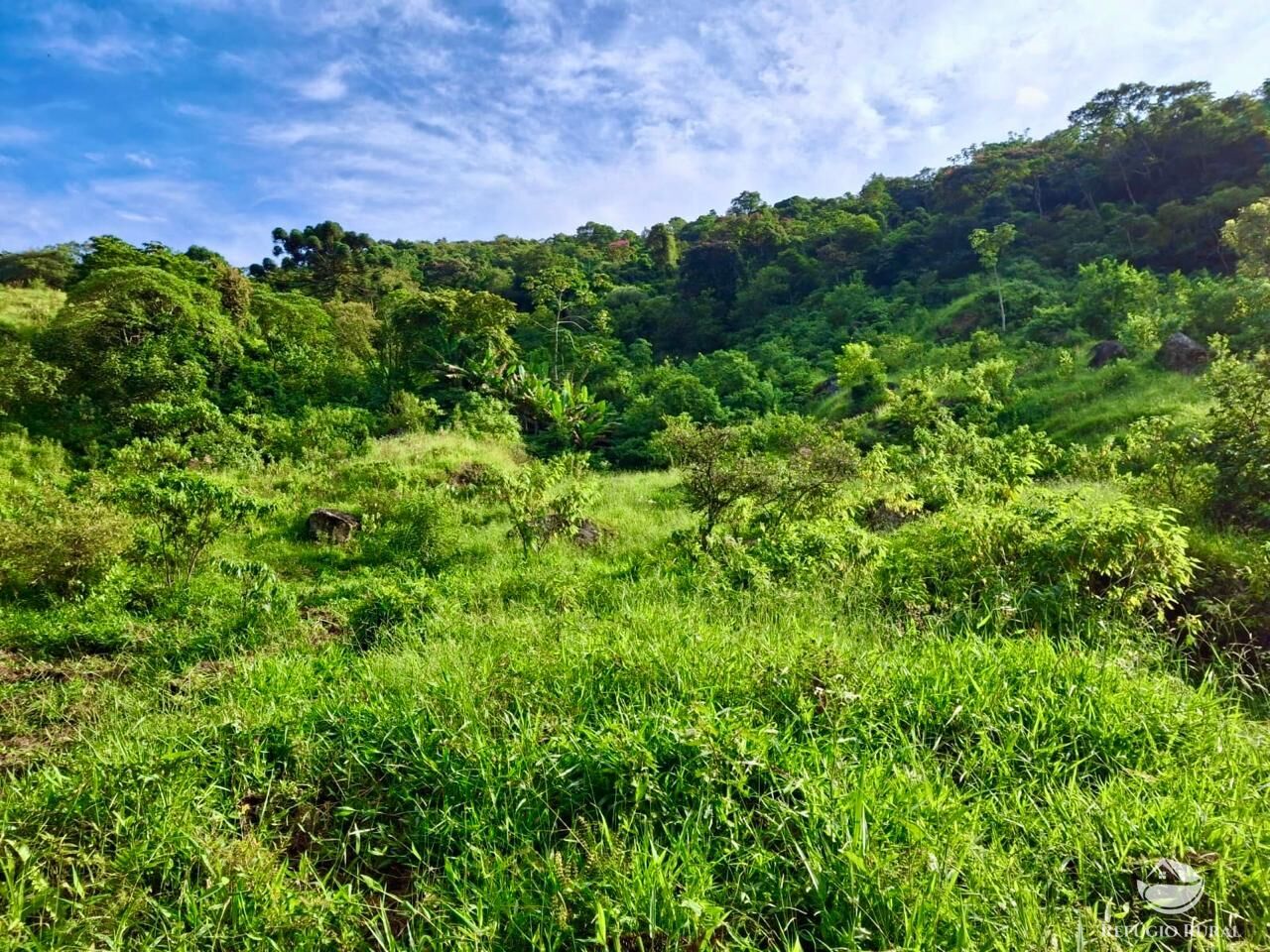 Terreno à venda, 20000m² - Foto 23