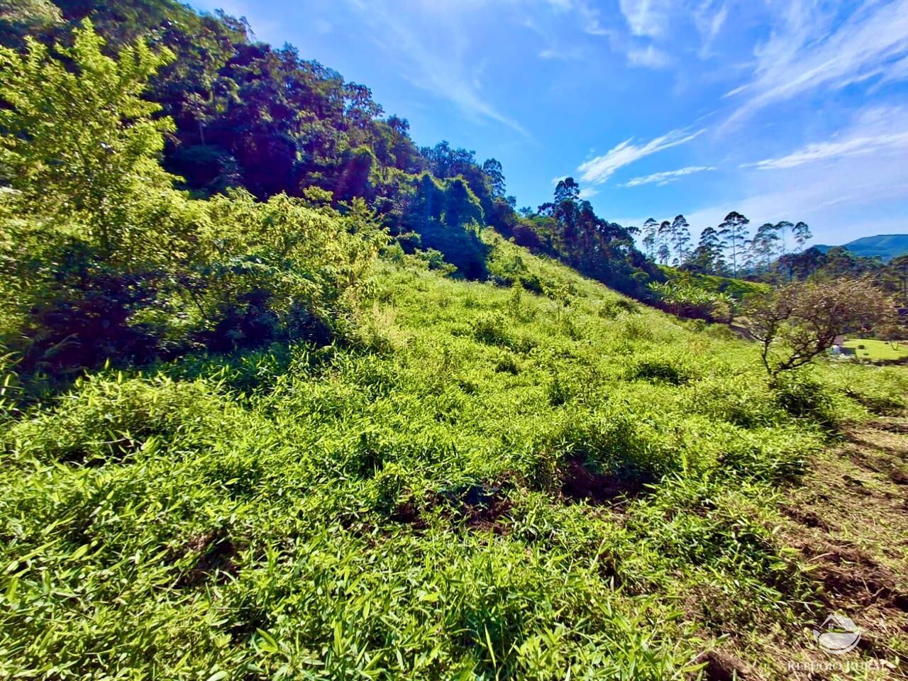 Terreno à venda, 20000m² - Foto 8