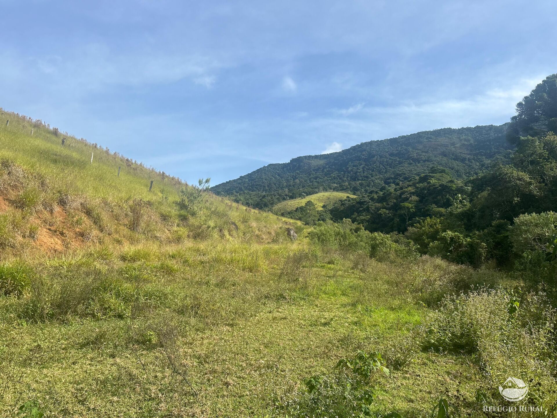 Fazenda à venda com 1 quarto, 968000m² - Foto 18