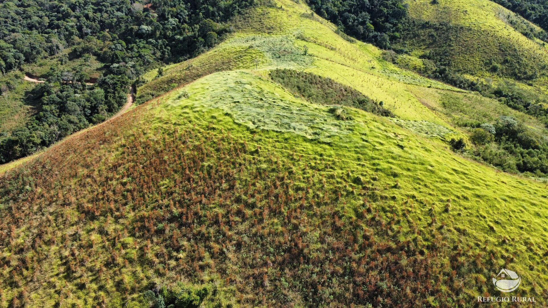 Fazenda à venda com 1 quarto, 968000m² - Foto 13