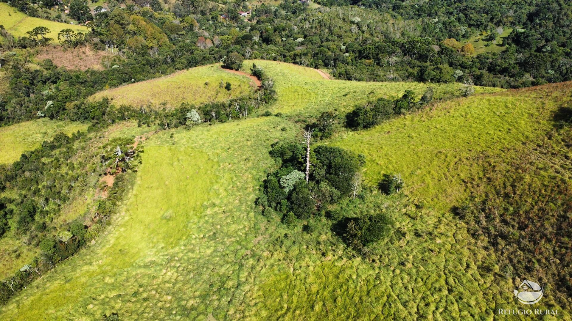 Fazenda à venda com 1 quarto, 968000m² - Foto 12