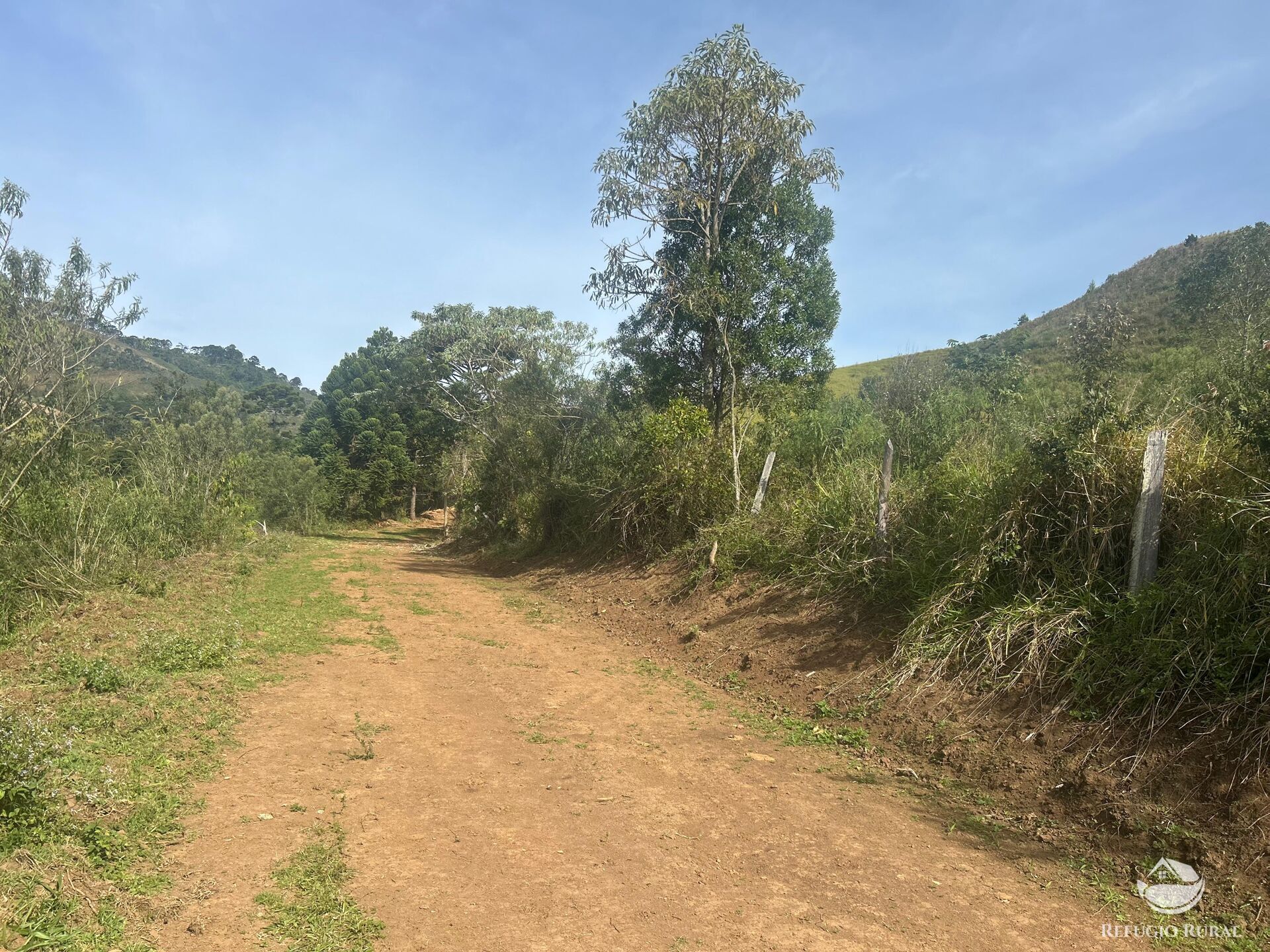 Fazenda à venda com 1 quarto, 968000m² - Foto 21