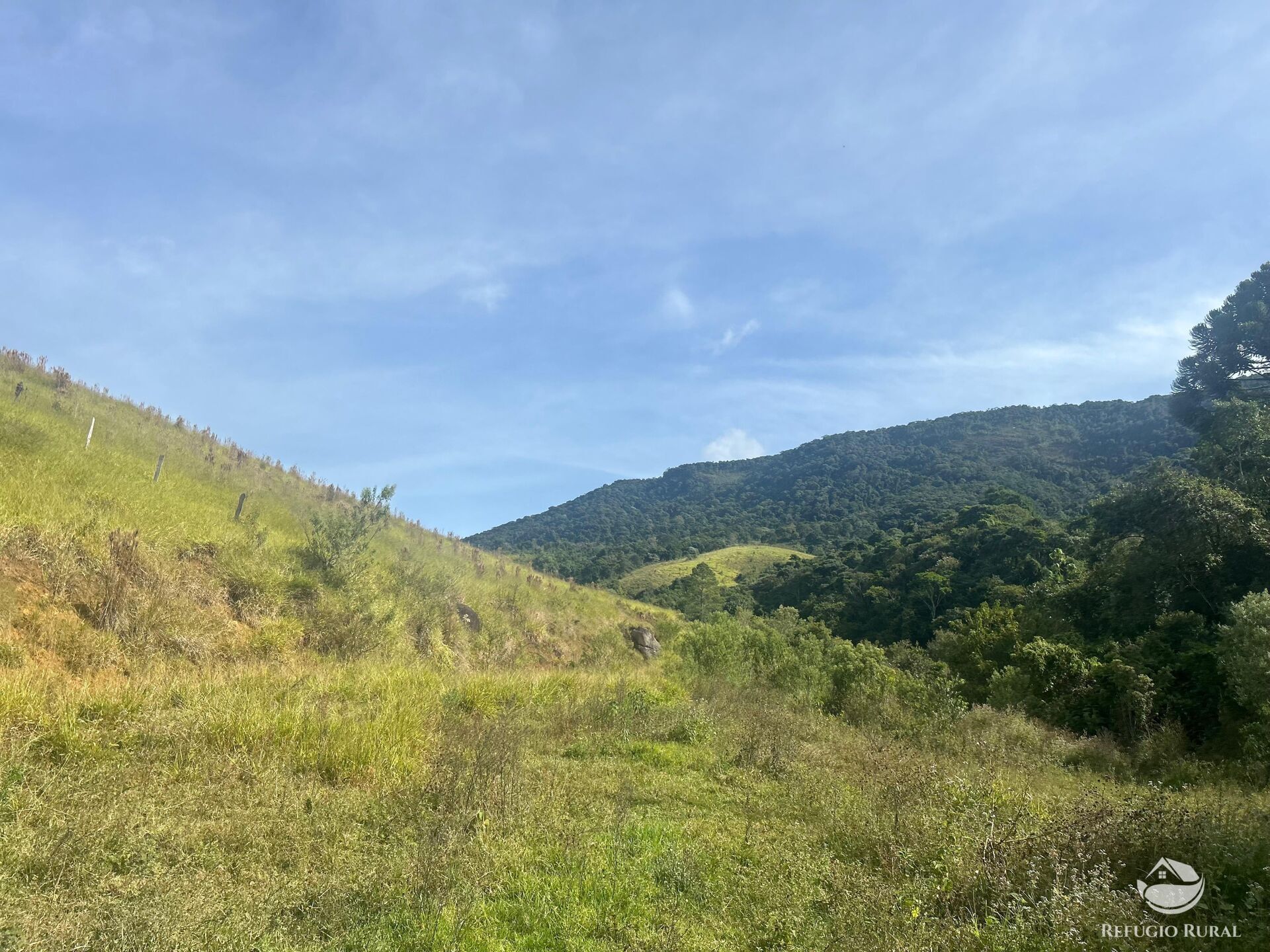 Fazenda à venda com 1 quarto, 968000m² - Foto 19
