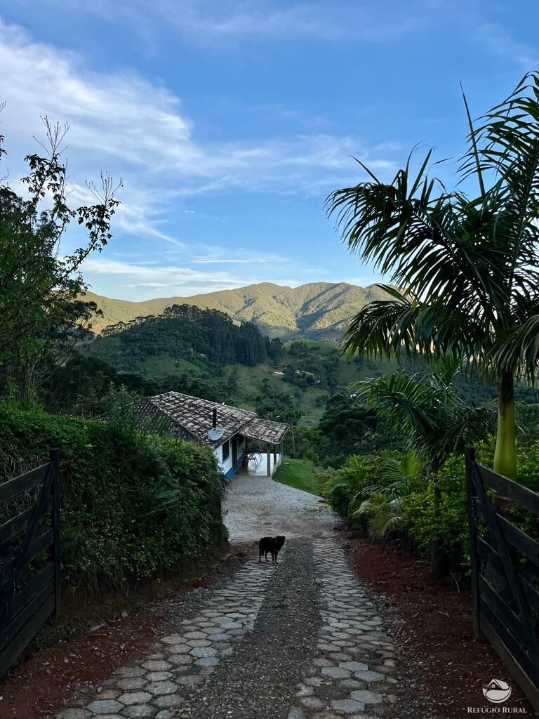 Fazenda à venda com 1 quarto, 3000m² - Foto 2