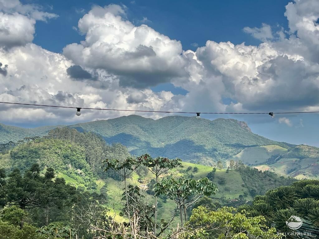 Fazenda à venda com 1 quarto, 3000m² - Foto 5