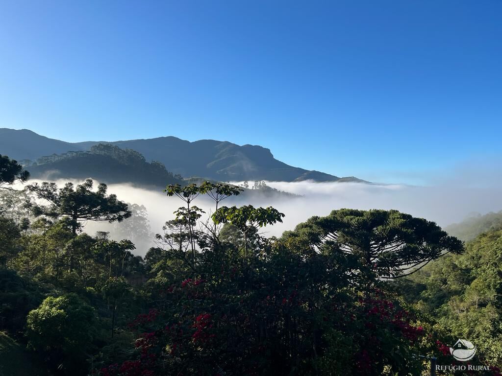 Fazenda à venda com 1 quarto, 3000m² - Foto 4