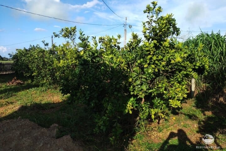 Fazenda à venda com 2 quartos, 16m² - Foto 41