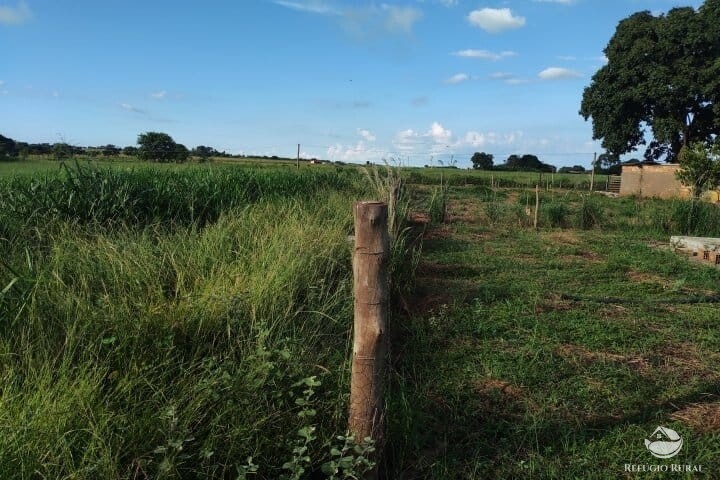 Fazenda à venda com 2 quartos, 16m² - Foto 27