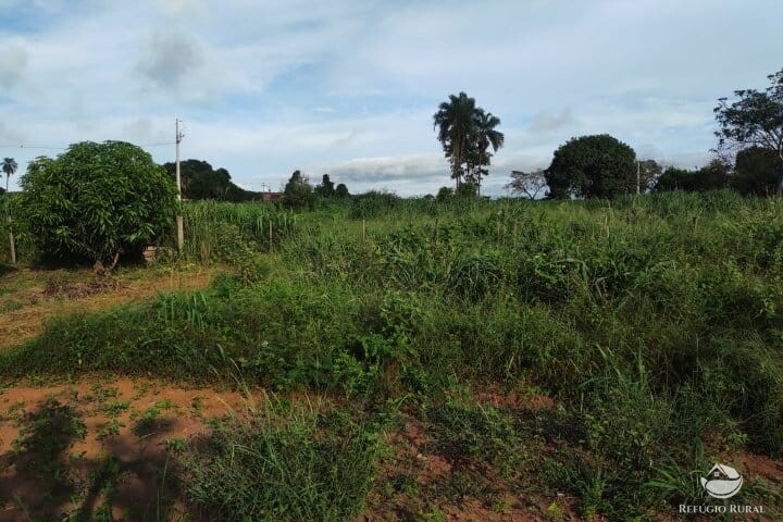 Fazenda à venda com 2 quartos, 16m² - Foto 35