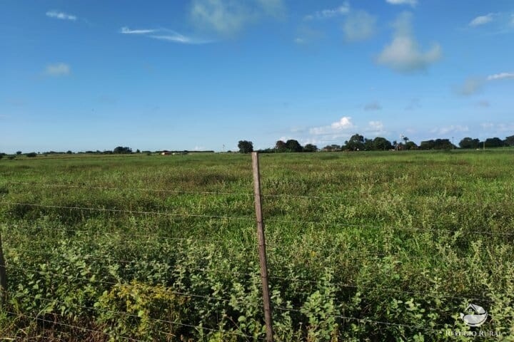 Fazenda à venda com 2 quartos, 16m² - Foto 48