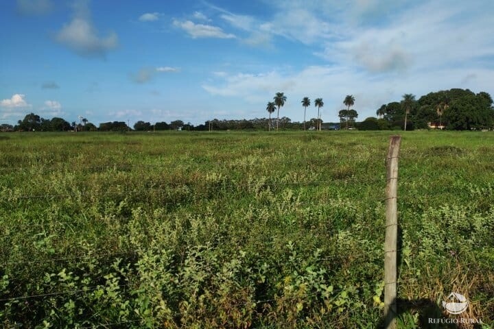 Fazenda à venda com 2 quartos, 16m² - Foto 47