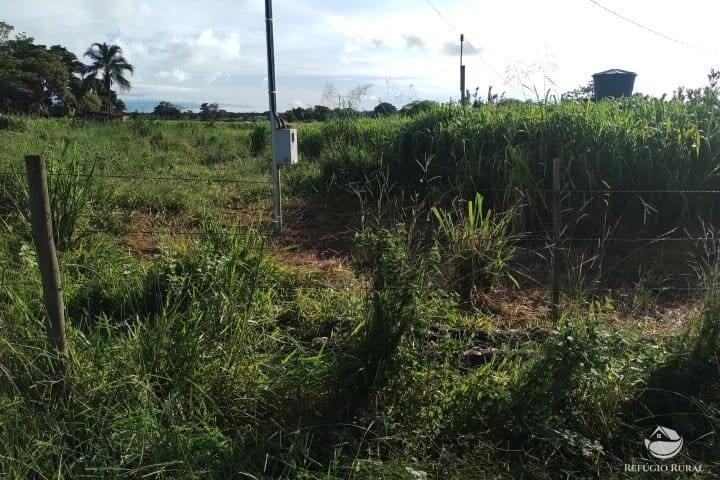 Fazenda à venda com 2 quartos, 16m² - Foto 45