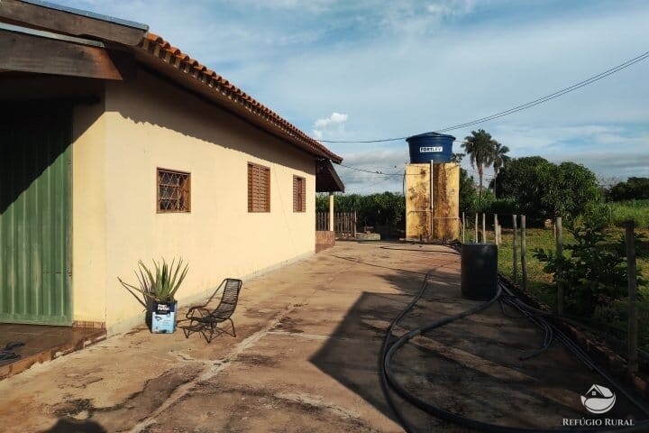 Fazenda à venda com 2 quartos, 16m² - Foto 23