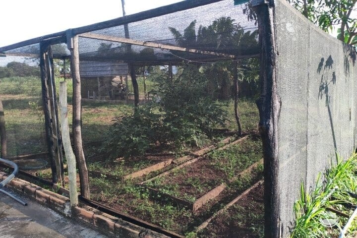 Fazenda à venda com 2 quartos, 16m² - Foto 25