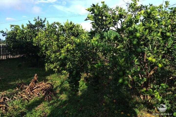 Fazenda à venda com 2 quartos, 16m² - Foto 42