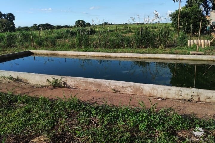 Fazenda à venda com 2 quartos, 16m² - Foto 24