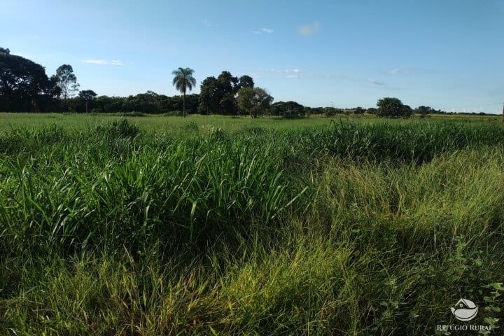 Fazenda à venda com 2 quartos, 16m² - Foto 28