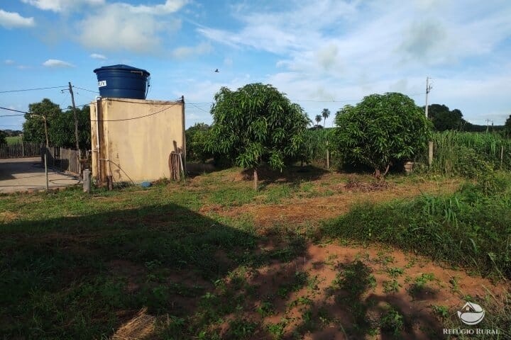 Fazenda à venda com 2 quartos, 16m² - Foto 33