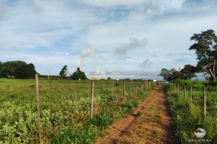 Fazenda à venda com 2 quartos, 16m² - Foto 44