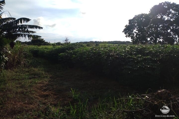 Fazenda à venda com 2 quartos, 16m² - Foto 29